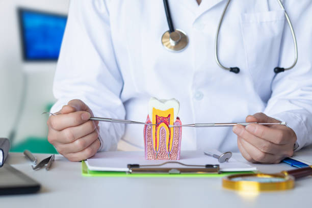 Emergency Dentist for Kids in IA